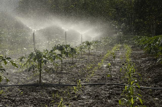 Un champ arrosé, illustrant le lexique pour comprendre l'empreinte eau